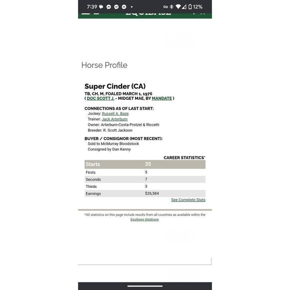 Leather Thoroughbred RaceāHorse Halter - Picture 9 of 9